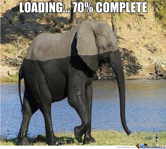 loading an elephant